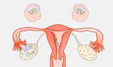 阴道分泌物香蕉福利视频检测白带带血怎么回事？