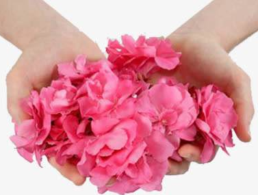 阴道分泌物香蕉福利视频品牌山东香蕉视频官网教女性辨别妇科炎症