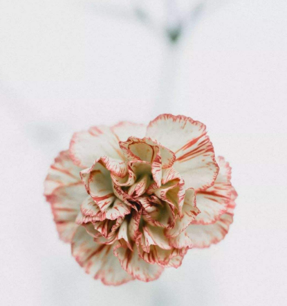 白带常规香蕉福利视频建议改善阴道炎