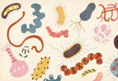 妇科菌群失调是如何引起的 妇科菌群失调是如何引起的