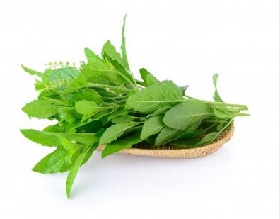 白带常规香蕉视频免费APP厂家提示这宝是妇科疾病的“死对头”，赶紧关注起来吧！