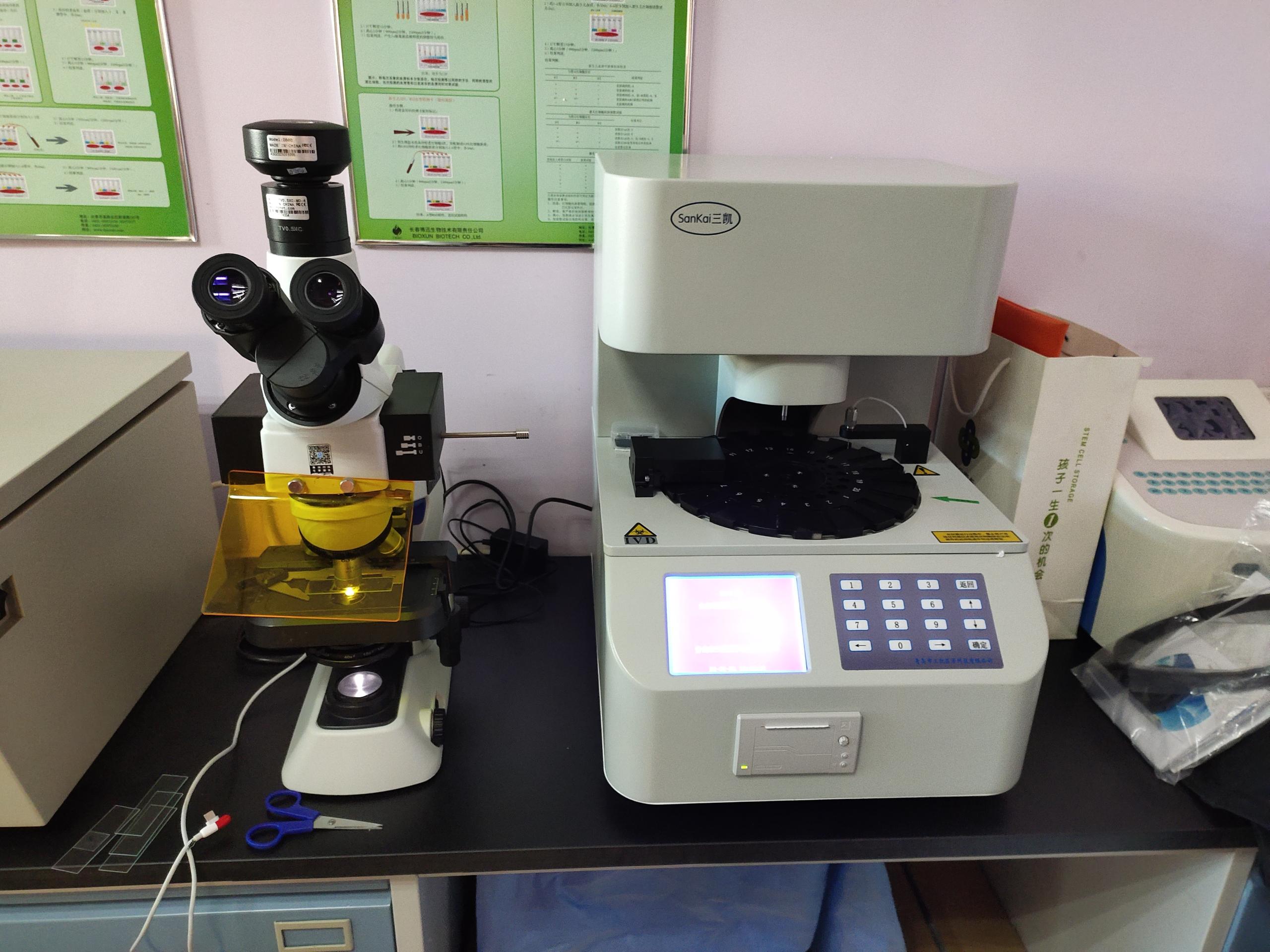 全自动妇科白带常规香蕉福利视频验白带能查出宫颈炎吗？