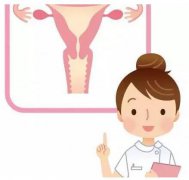 山东香蕉视频官网gk全主动阴道分泌物香蕉福利视频器设备凭仗自身技能赢得客户信赖