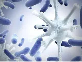 【妇科白带香蕉视频免费APP品牌】：女性患霉菌性阴道炎的缘由！