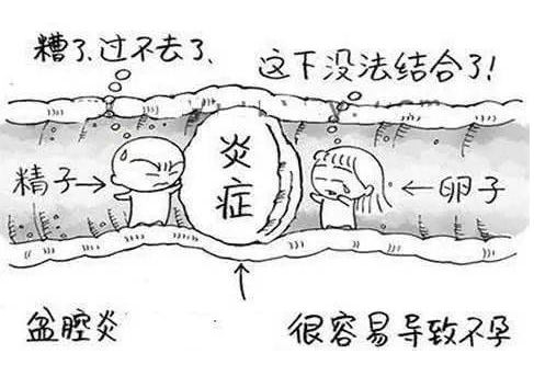 全自动妇科阴道分泌物香蕉视频免费APP检测辨别妇科炎症复杂多样！